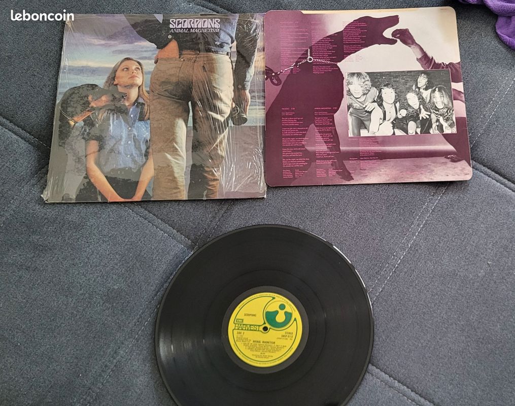 Vinyle scorpion animals magnétisme (image 1)