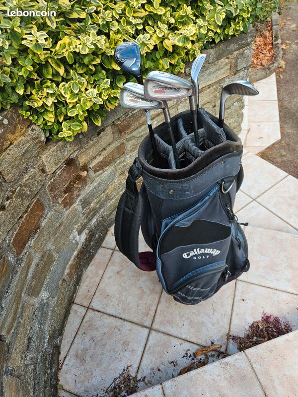 Clubs de golf (image 3)