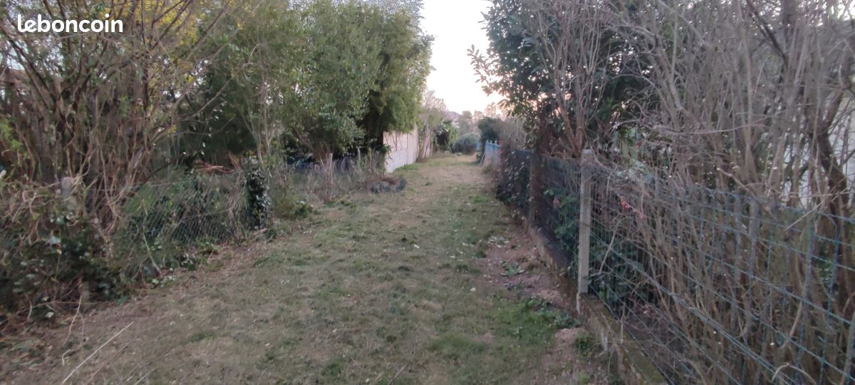 Maison a louer albi - Surfyn