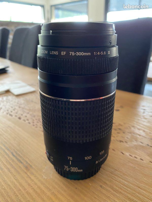 Canon eos 1100 D 18-55 mm + objectif 70-300 mm (image 5)