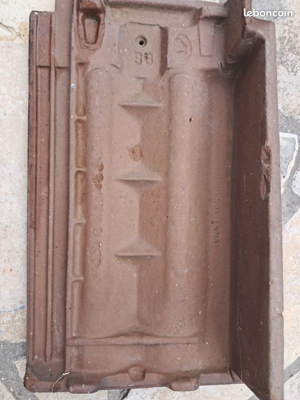 Tuile de rive (image 2)