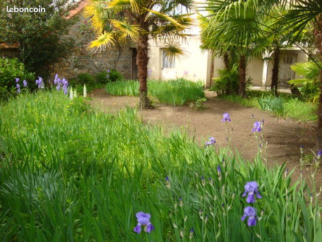 Appartement 5 pièces 124 m² - Limoges 87000 (image principale 11)