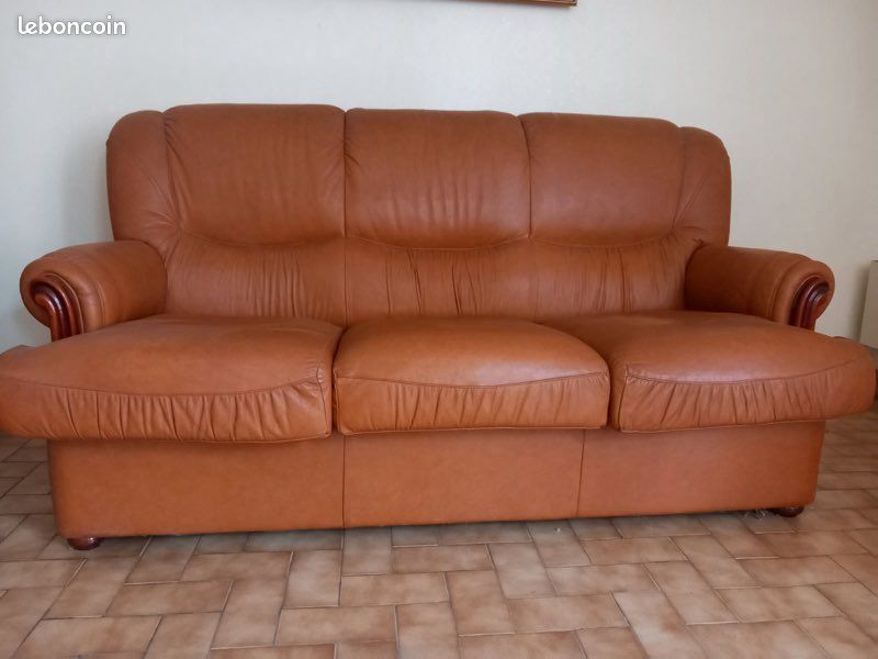 Salon en cuir marron (image 1)