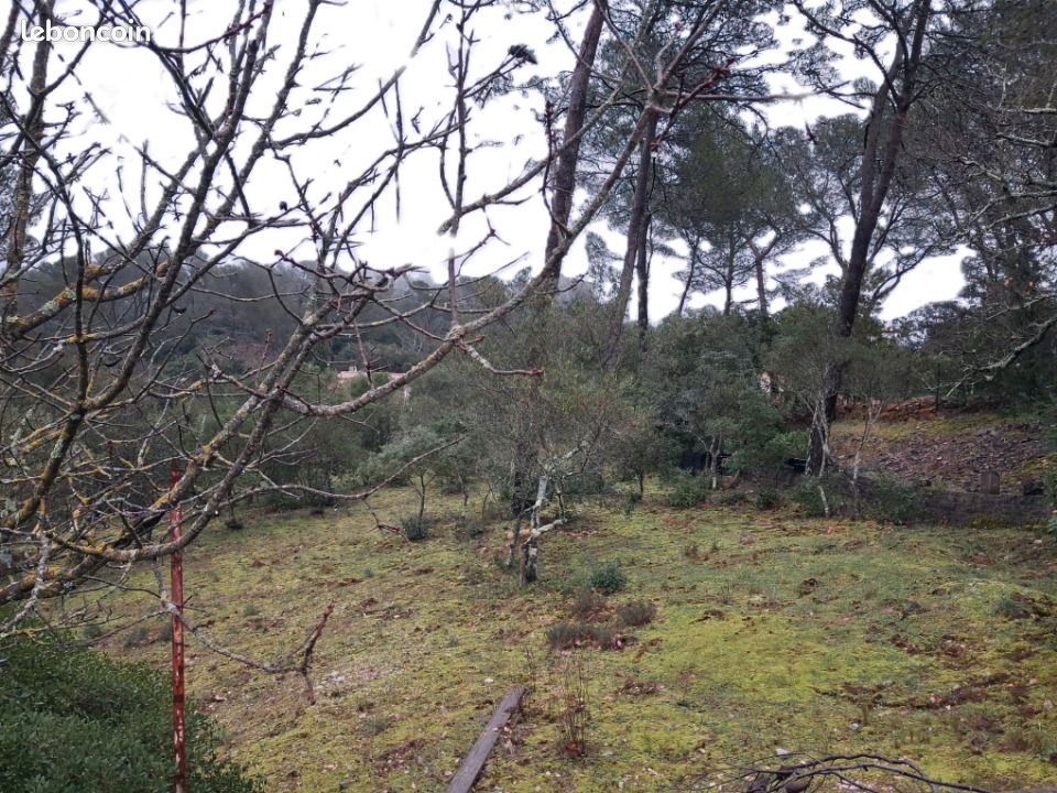 Terrain 1 000 m² Gareoult · à Garéoult · 169 000 €