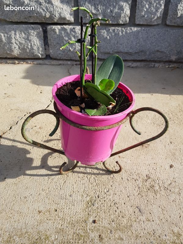 Support pot de fleurs (image 1)