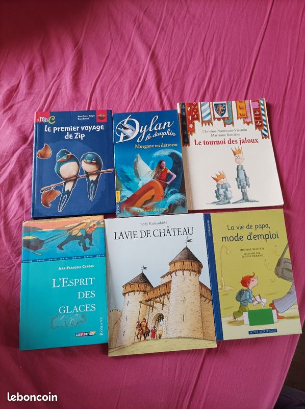 Divers livres (4) (image 1)