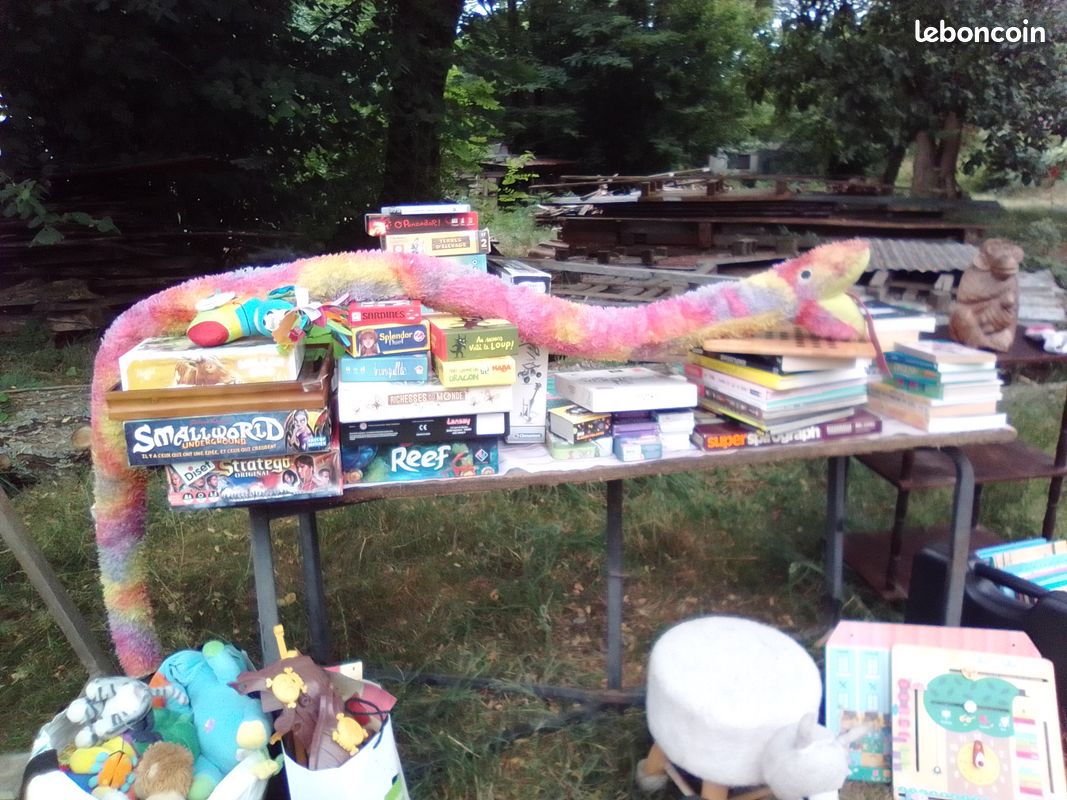 Jeux, livres pour enfants et adultes (image 1)