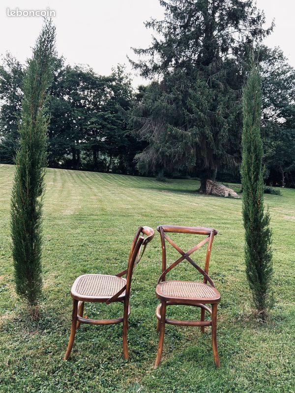 Chaises de salle à manger anglaises élégantes - de OKA boutigue (image 3)