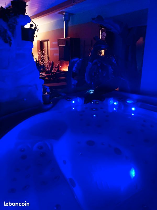 Séjours romantiques chambre d'hôtes déesse : Piscine couverte chauffée et SPA (image 3)