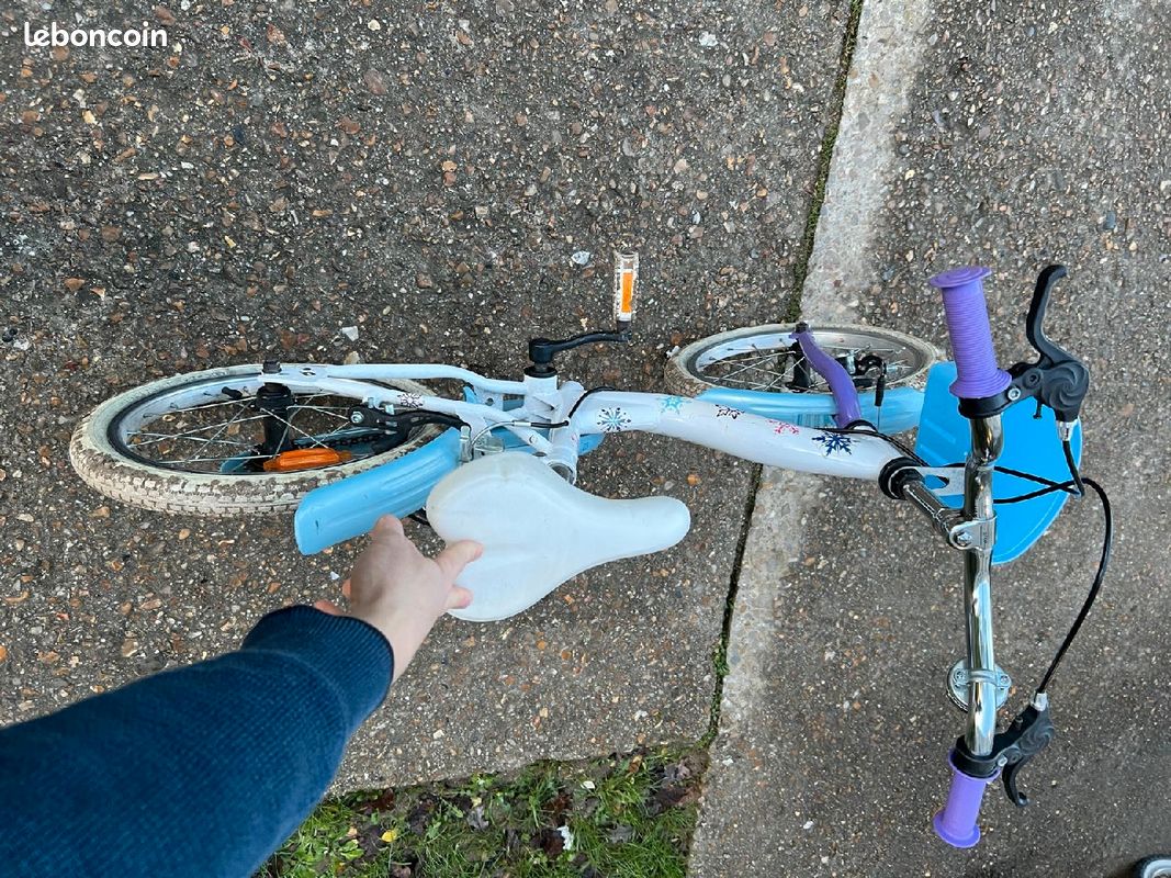 Vélo reine des neiges (image 3)