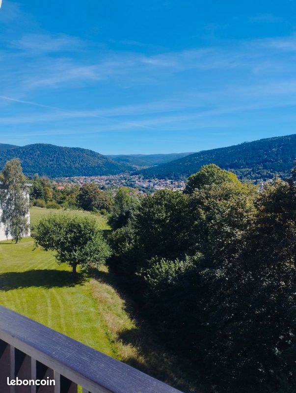 Appartement 2 pièces 53 m² · à Gérardmer · 53 m² · 620 €/mois