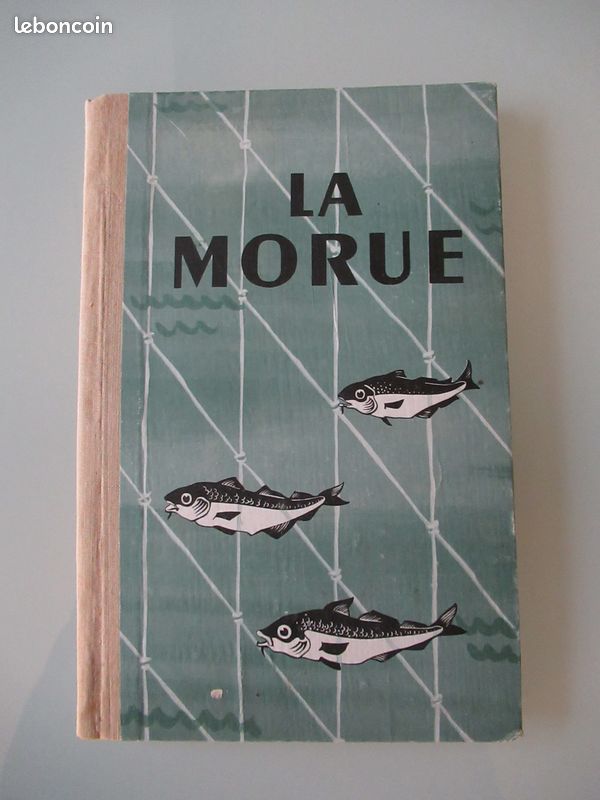 10 X LIVRES de pêche/pêche à la pêche mer/rivière/pôle/eau calme pêche à la mouche EUR 15,26 10 X LIVRES de pêche/pêche à la pêche mer/rivière/pôle/eau calme pêche à la mouche EUR 15,26