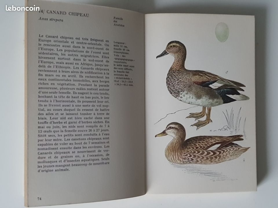 Les oiseaux aquatiques - JIRI Félix - 1975 MARABOUT (image 3)