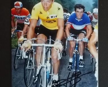 Vélo collection Bernard Hinault - Collection