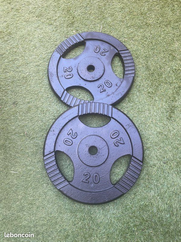 Lot de 2 Disques de Poids, Disques d'haltère Plaque de Poids Plaque de poids 2 pcs 2x10 kg Fonte