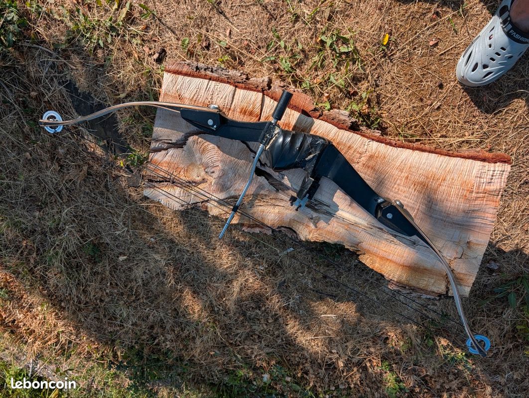 Arc a poulies, compound. HOYT Proventage (image 2)