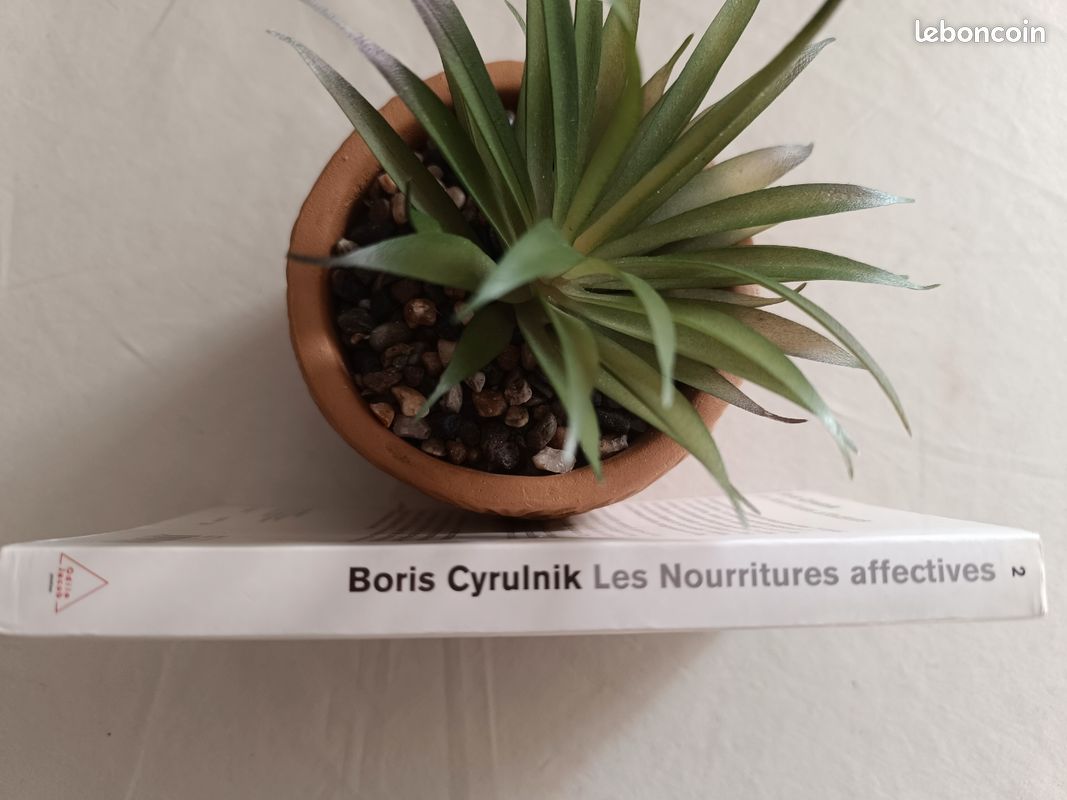 Les nourritures affectives (image 8)