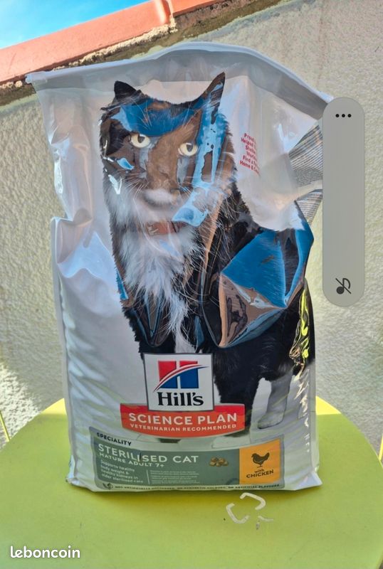 Gamelle chat avec croquettes - URGENT (image 2)