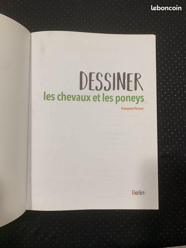 Dessiner les chevaux et les poneys - manuel (image 3)