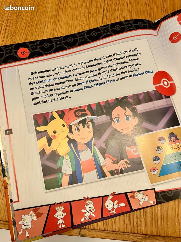 Pokémon les voyages la série (image 2)