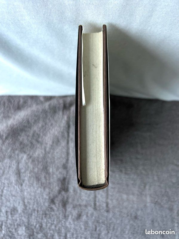 Livre « L’Amour Adopté » de Marie Brunet (image 8)