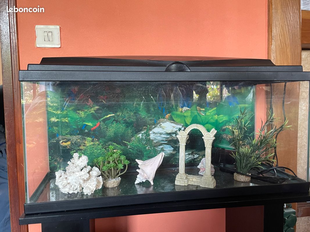 Aquarium (image 2)
