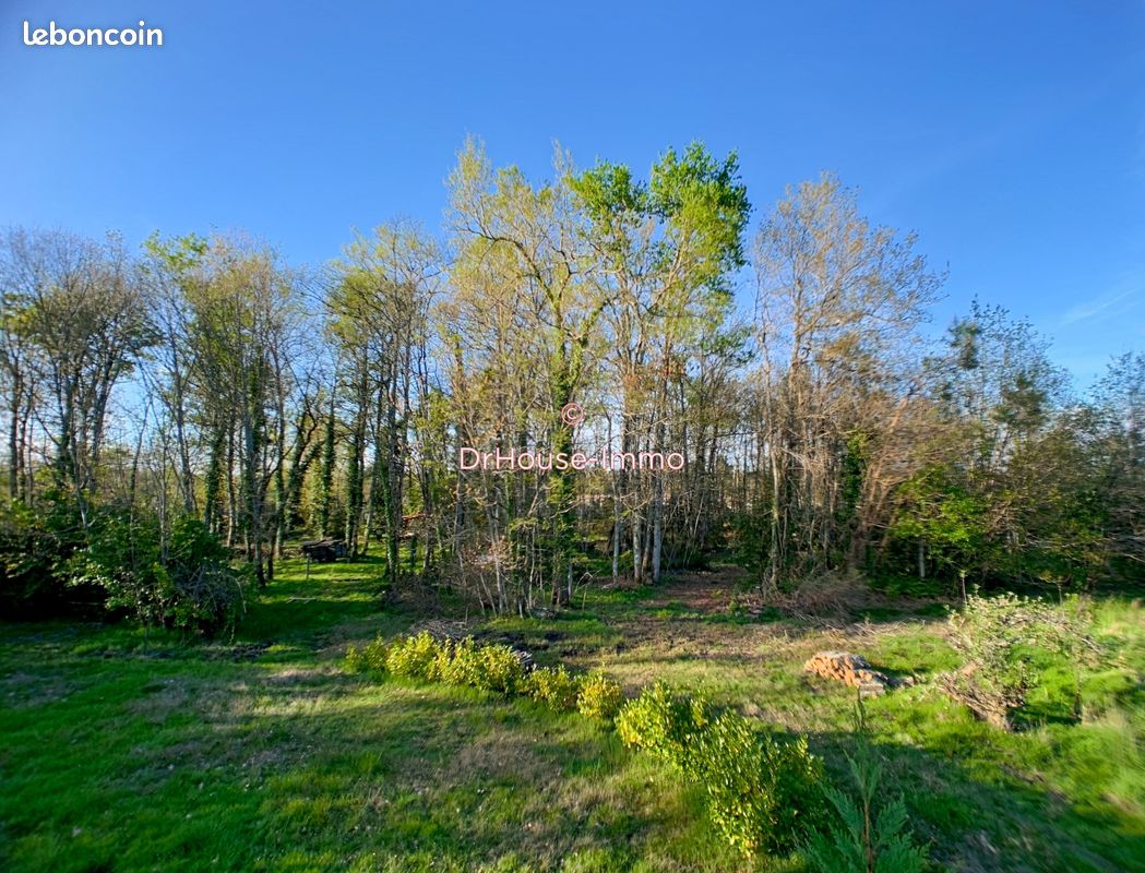 Maison 10 pièces 295 m² - Salaunes 33160 (image 2)