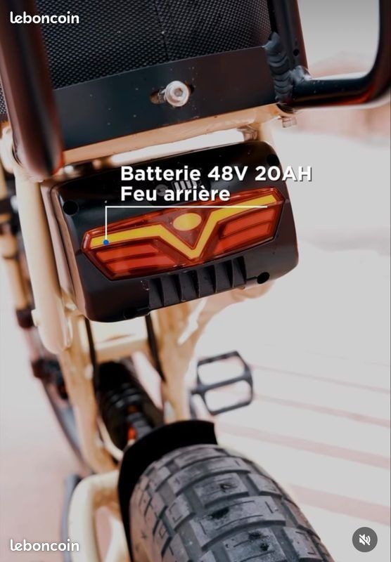 Vélo Électrique Cargo Biplace Fatstreet X Trail cadre bas – inckus GPS ANTI VOL (image 5)