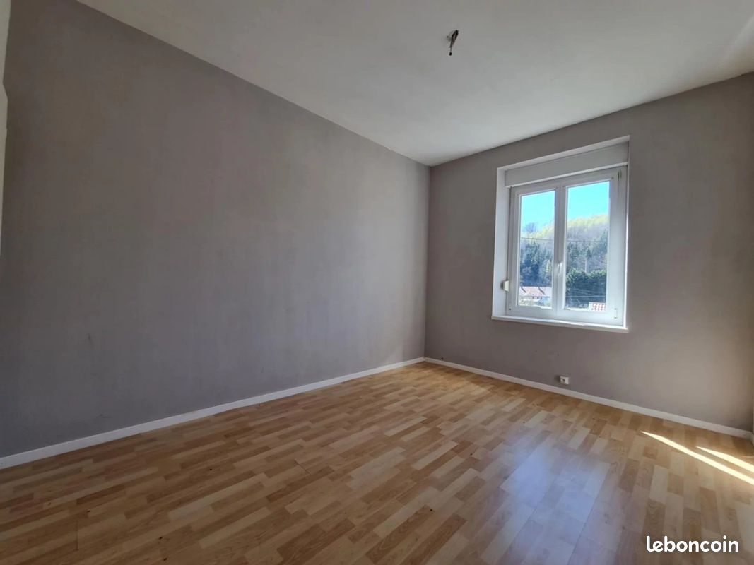 Immeuble 546 m² Abreschviller (image 5)
