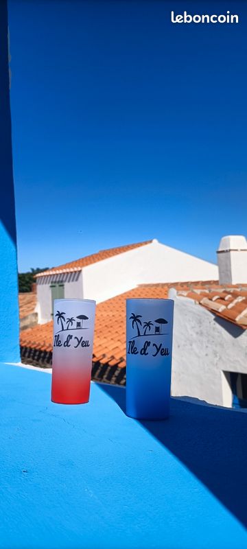 Location Maison Ile d'Yeu (image 15)