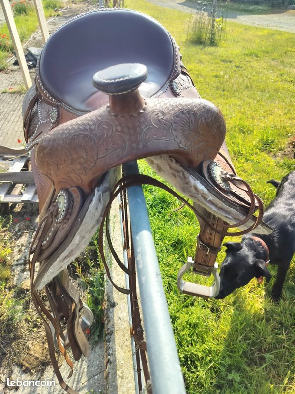 Selle western (image 2)