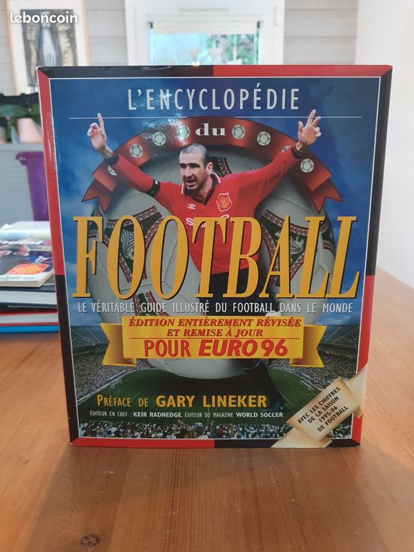 Le guide français et international du football 2004