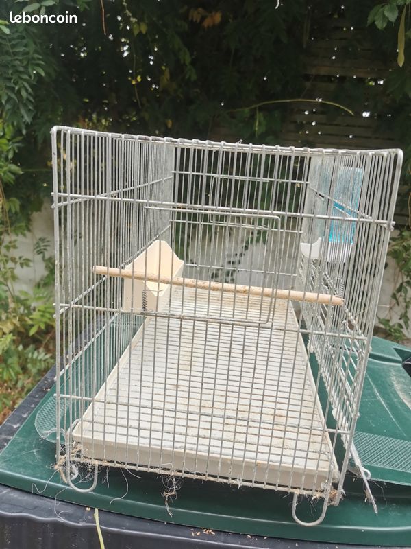Cage de repro canari (image 1)