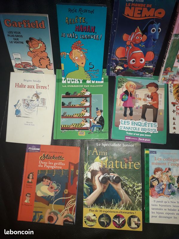Lot de 31 livres enfants dès 7 ans (image 2)