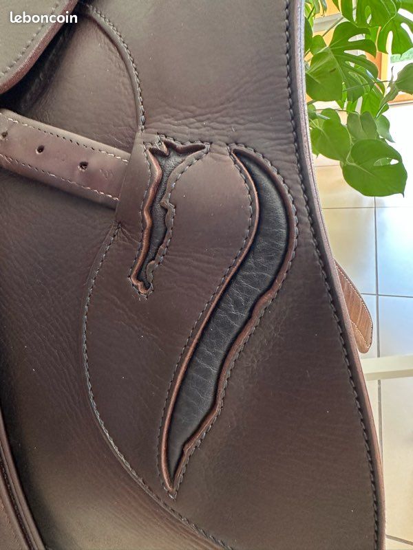 Selle Antares Évolution – 2023 – Excellent état (image 3)