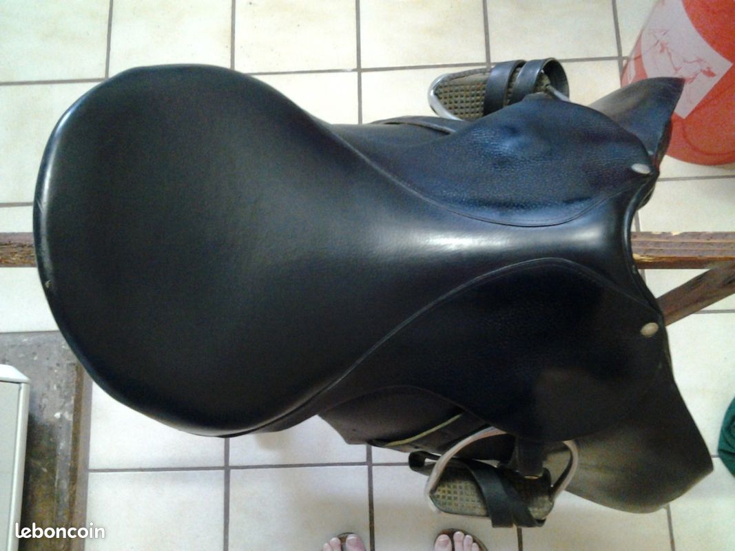 Selle mixte forestier (image 5)