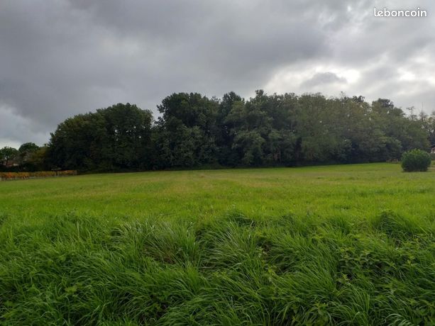 Terrain 2 900 m² Faleyras