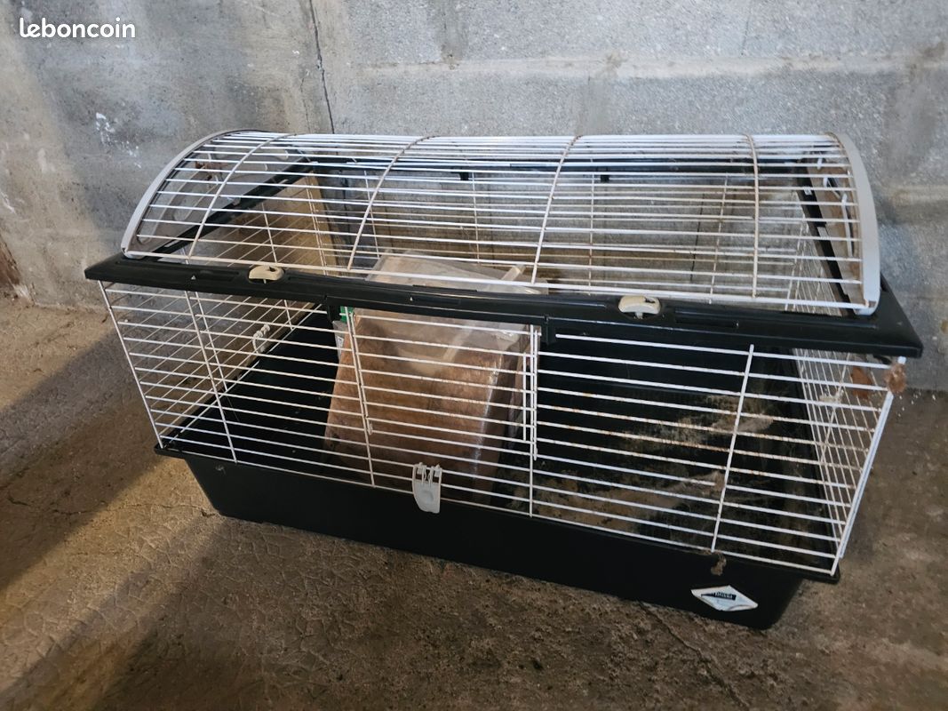 Cage rongeurs et accessoires (image 1)