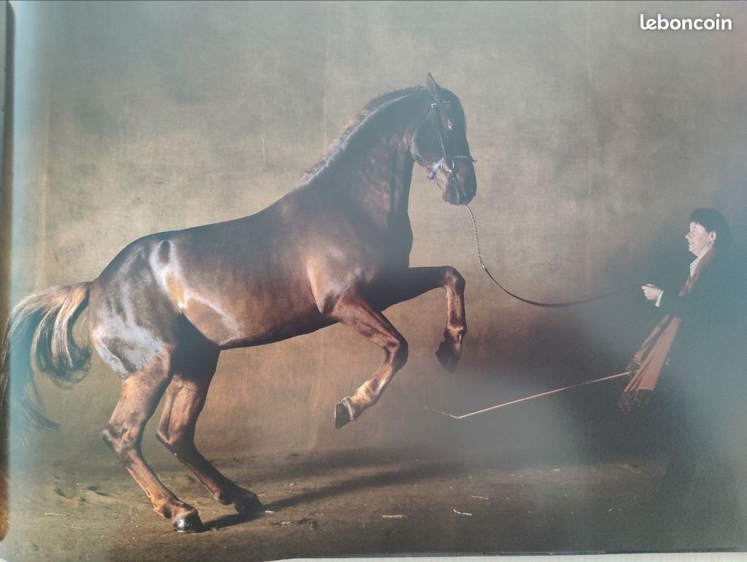 Chevaux par Gouraud jean-louis, arthus-bertrand éditions du chêne (image 16)
