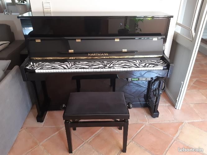 Piano HARTMANN 117 + système SILENT (image 5)