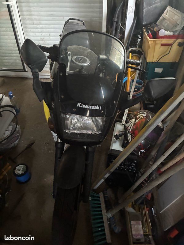 500 gpz (image 1)