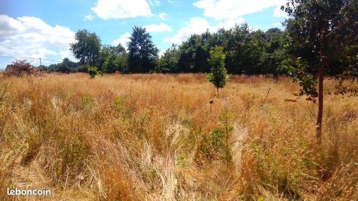 Terrain agricole en Brocéliande · à Néant-sur-Yvel · 14 900 €