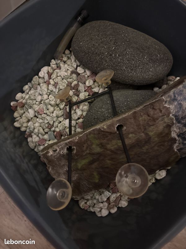 Aquarium terrarium (image 2)
