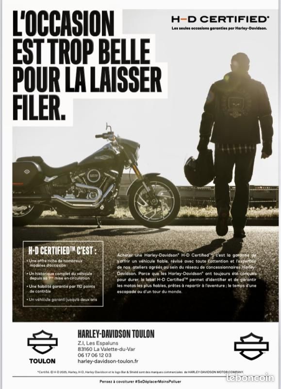 Harley Davidson SOFTAIL SLIM 1745 (image 10)