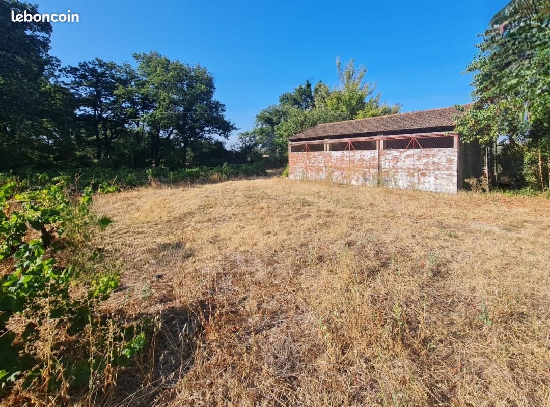 Terrain 591 m² Sainte Cecile Les Vignes · à Sainte-Cécile-les-Vignes · 120 000 €