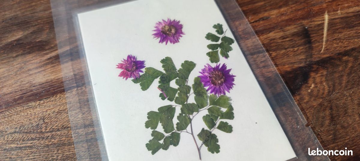 2 Boîtes Fleurs Séchées Décoratives, Mélange De Fleurs Naturelles Pressees Fleurs Pressees Sechees Fleur Sechees Resine Fleur Artificielle Pour Bougie Bricolage Etui Pour Telephone Ongle