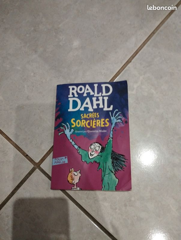 Livre jeunesse (image 1)
