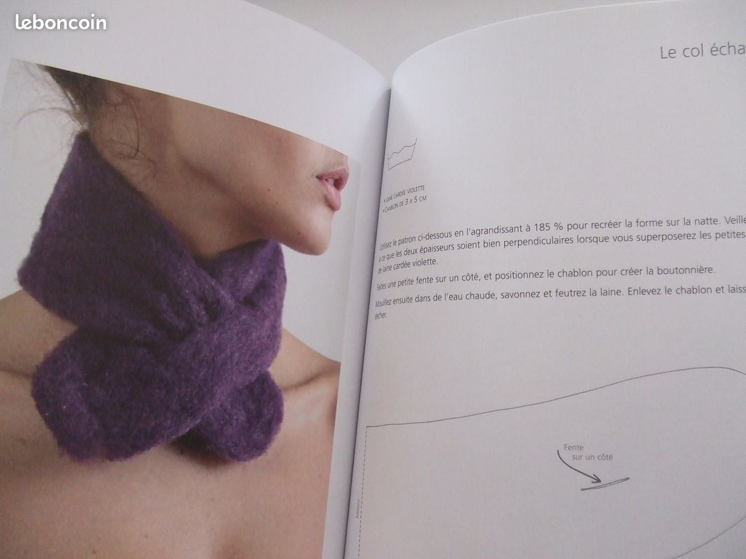 LIVRE "Laine feutrée" Sonia LUCANO (image 2)