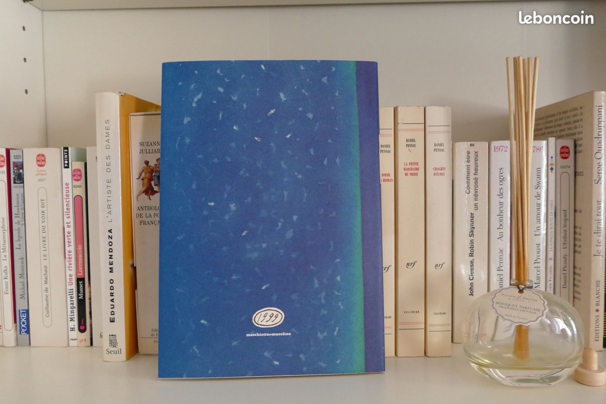Livre "Pietrasanta" - Jean-Michel FOLON (image 10)