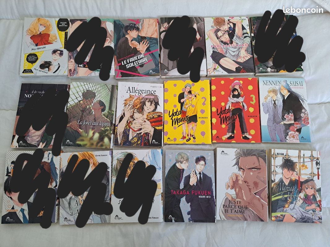 Mangas yaoi, 3 euros le tome (image 2)